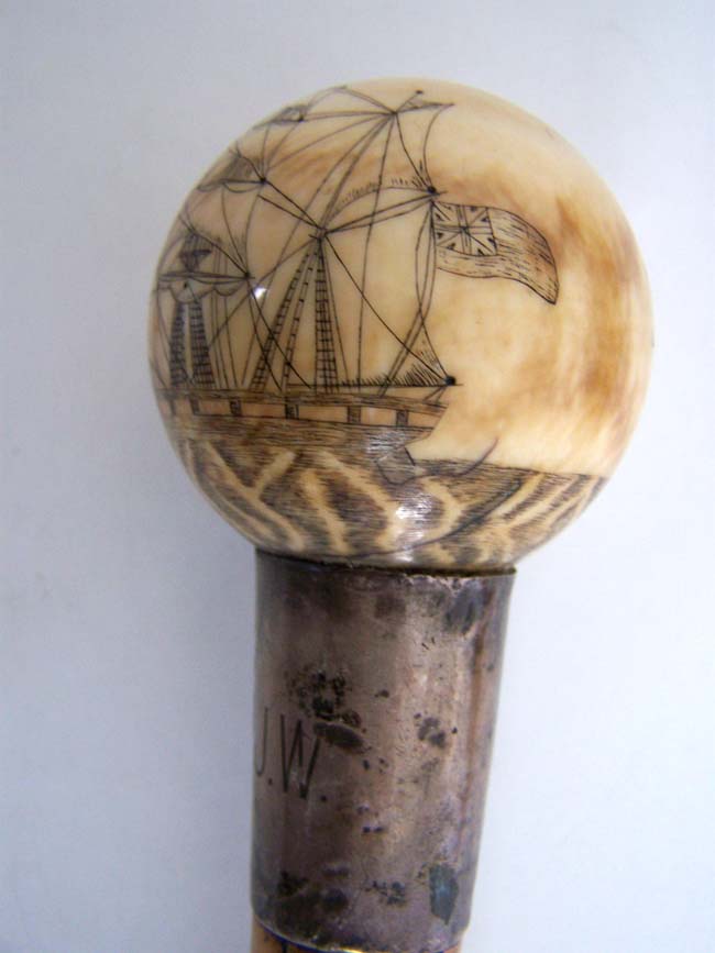 A 19th century Malacca Walking Stick with Silver Collar and ANTIQUE Scrimshawed Ivory Knob with the name 'Dundee'.